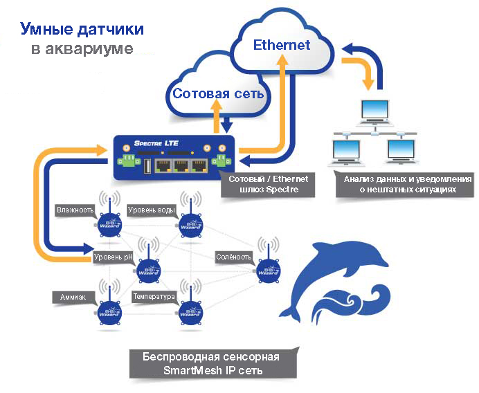 Спостереження за станом води і повітря в акваріумі